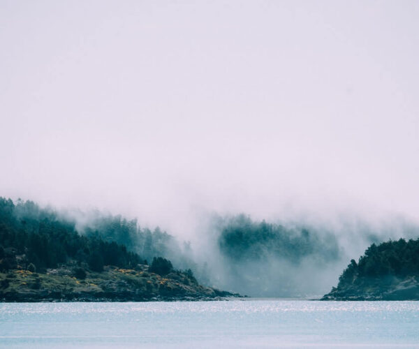 When the Fog Lifts
